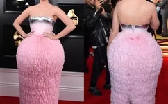 这是我的小扇贝好看吗